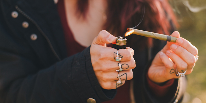 Ab In Die Wildnis: Deine Grüne Reise Geht Weiter