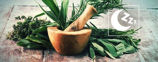 Die Besten Natürlichen Kräuter Für Die Förderung Des Schlafs