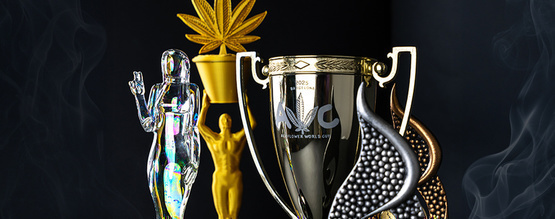 Exzellenz, die begeistert: Unsere preisgekrönte Erfolgsgeschichte