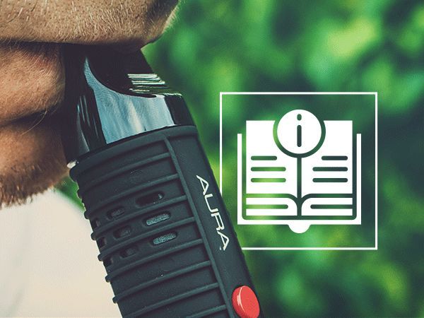 Das Umfangreiche Cannabis Vape Pen Handbuch Fr Einsteiger
