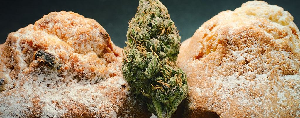 Die Niederländische Cannabis-Esswaren Renaissance