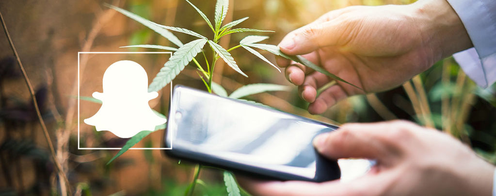 Cannabis Snapchat Profile