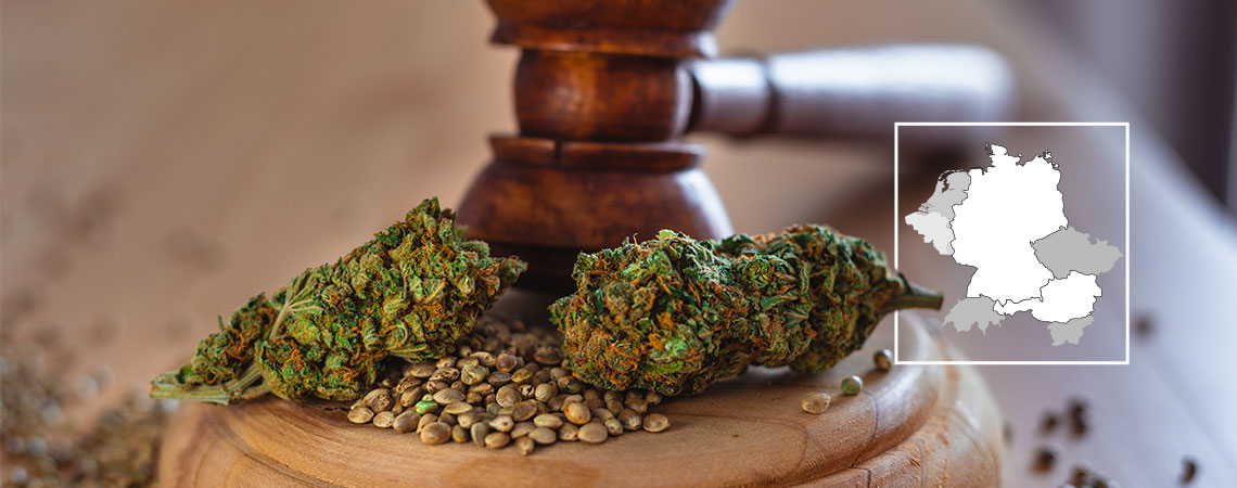 Deutschland legalisiert Cannabis im Jahr 2024