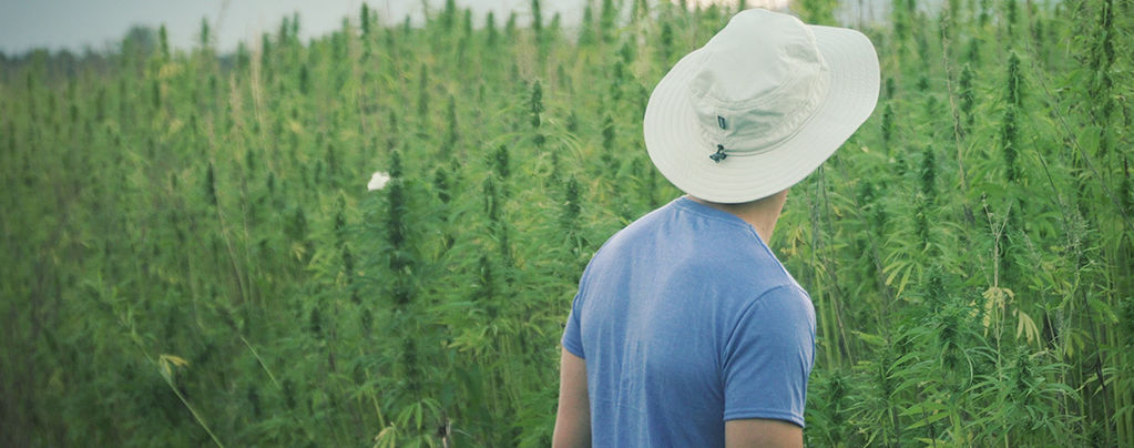 Der Berühmte Cannabis-Pionier Franco Loja Ist Mit 42 Jahren Verstorben