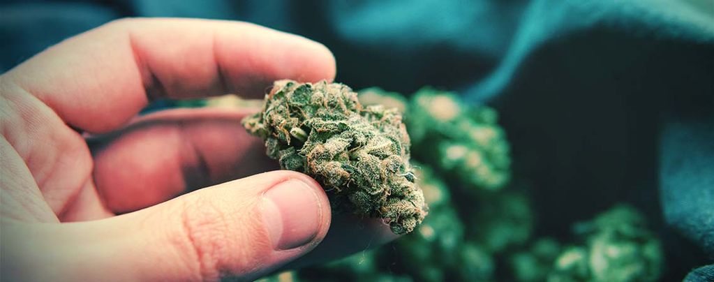 Was Sind Popcorn-Buds An Cannabispflanzen Und Wie Vermeidet Man Sie?