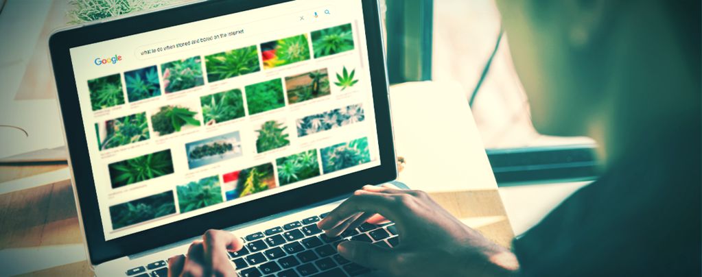 Die Besten Websites Für Stoner