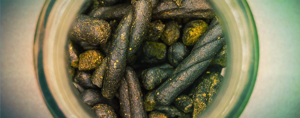 Was Ist Charas Und Wie Stellt Man Es Her?