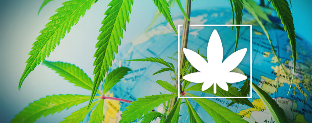 Europa Legal Cannabis Rauchen