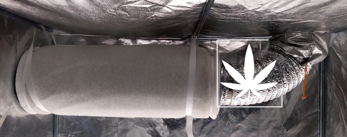 Wie Man Mittels Aktivkohlefilter Den Geruch Von Cannabis Eliminiert