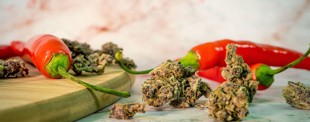 Die Überraschenden Vorteile Der Kombination Von Cannabis Und Chilis