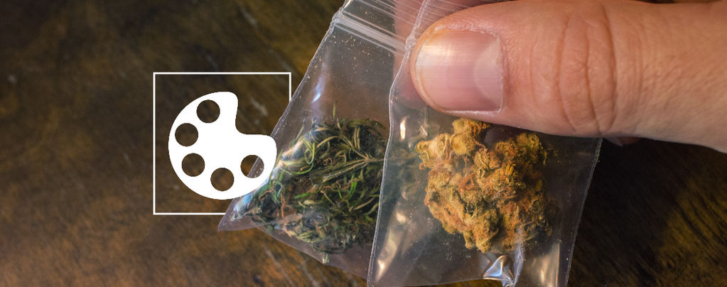 Die Verschiedenen Farben Von Cannabis
