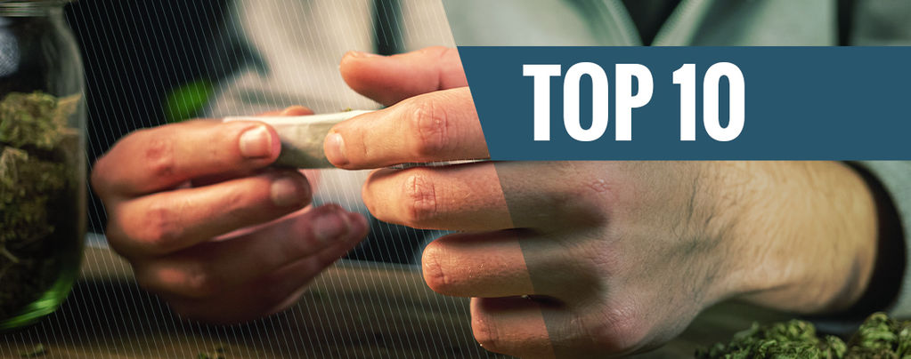 Das Meiste Aus Deinen Grasvorräten Herauszuholen