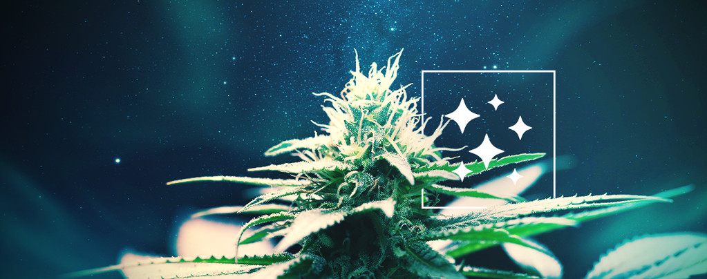 Ursprung Von Northern Lights Ursprung Von Northern Lights