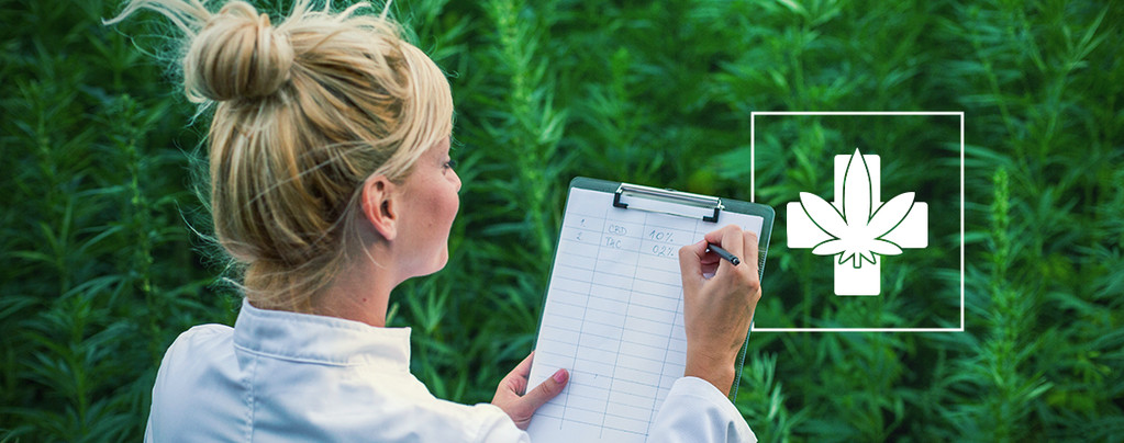 Wie Du Die Richtige Medizinische Sorte Für Dich Auswählst Wie Du Die Richtige Medizinische Sorte Für Dich Auswählst