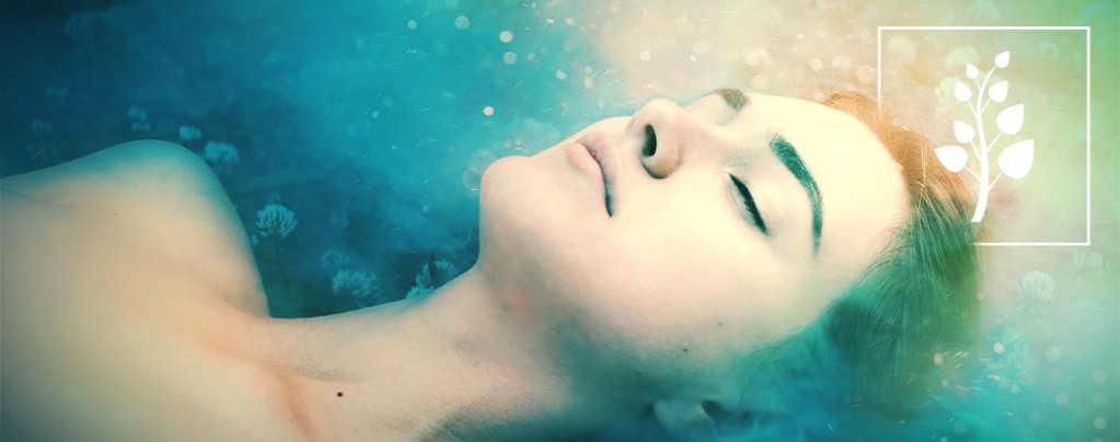 Salvia-Trips Salvia-Trips