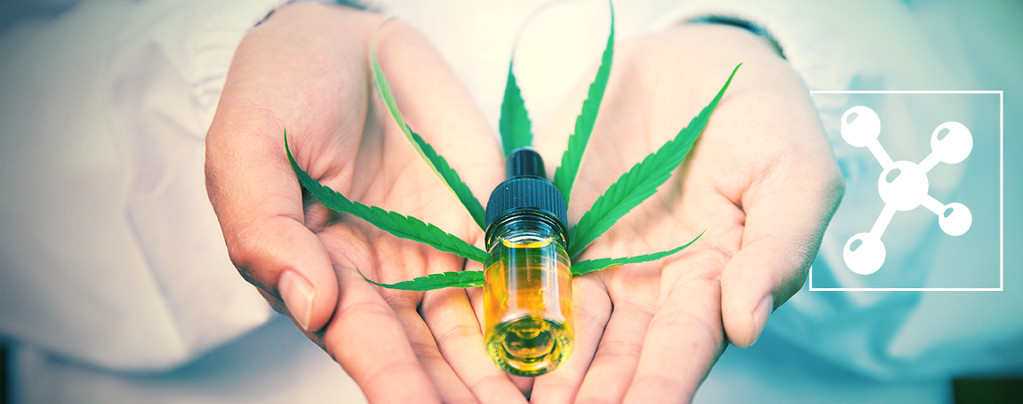 Ist Cbg Das Neue Cbd?