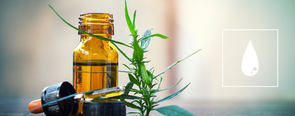 Alles, Was Du Über CO₂-cannabisöl Wissen Musst Alles Über Cannabiskonzentrate