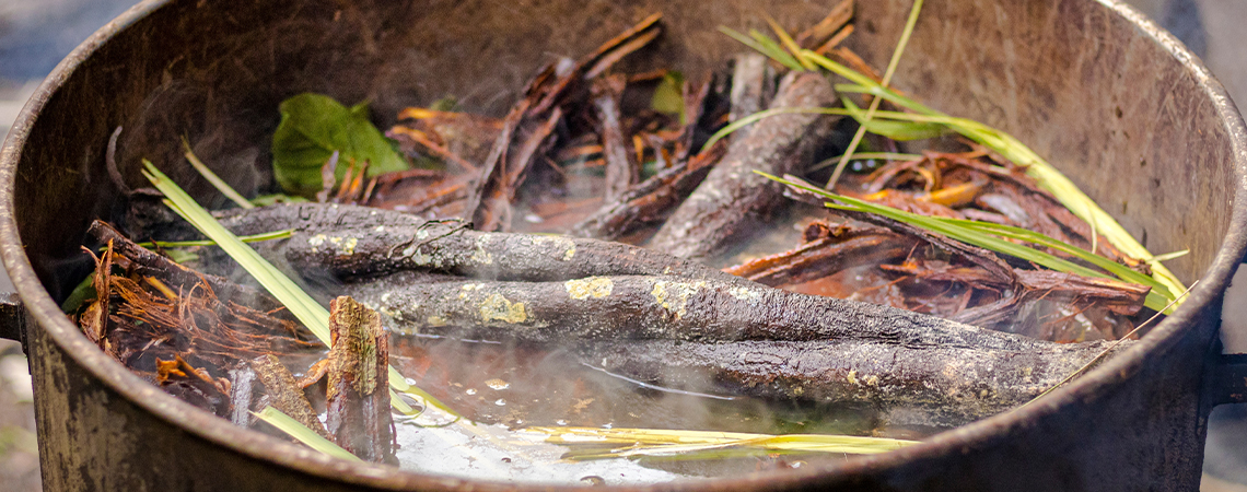 Ayahuasca – Mythen und Fakten: Was ist wahr und was nicht?