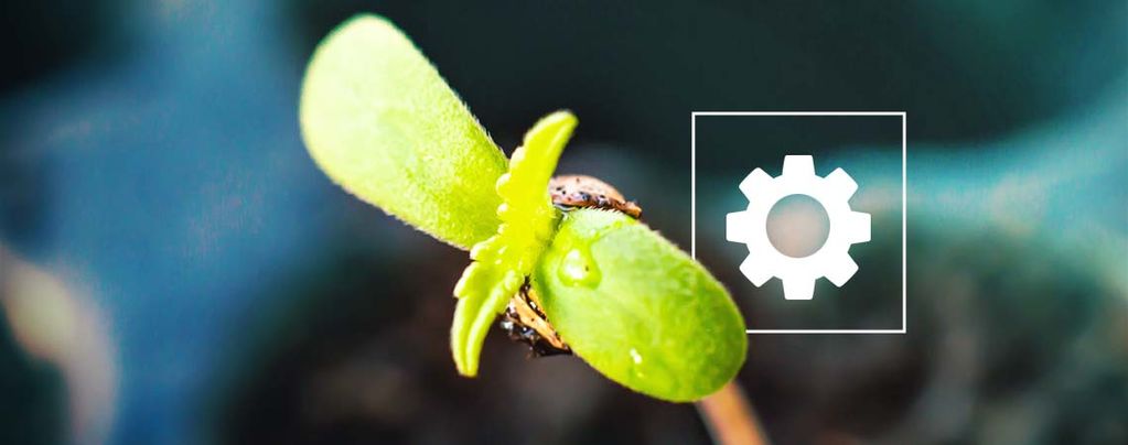 Wie Man Die Sticky Beast Automatic Anbaut Wie Man Die Sticky Beast Automatic Anbaut