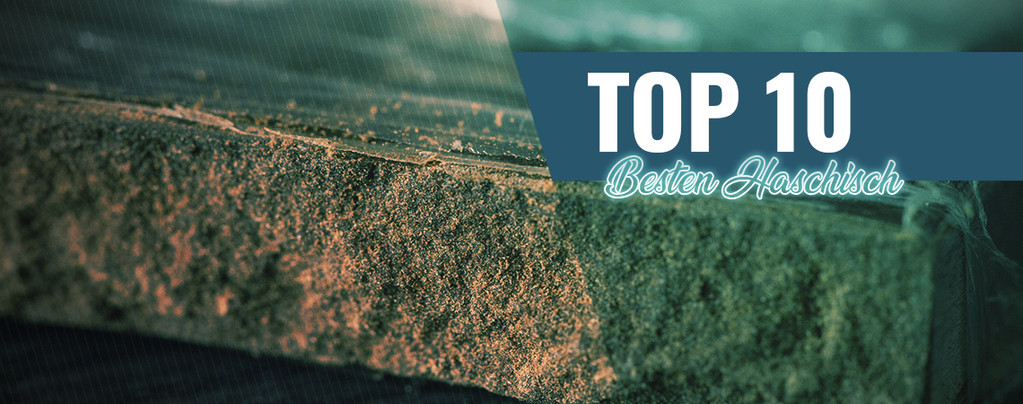 Die Top 10 Des Besten Haschisch In Amsterdam