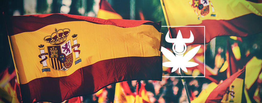 Top 10 Sorten Der Spanischen Cannabis Clubs