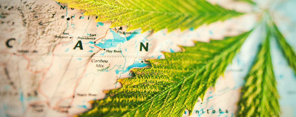  Welche Länder Rauchen Meisten Gras