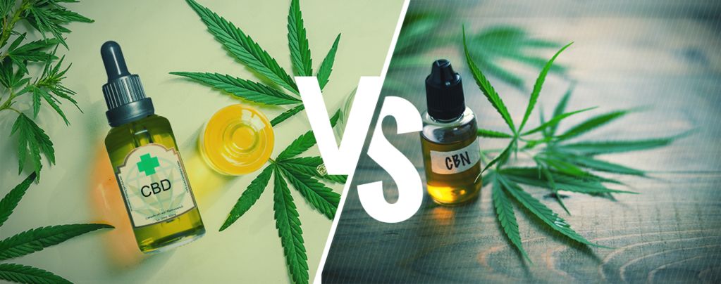 CBD Vs. CBN: Was Ist Der Unterschied?