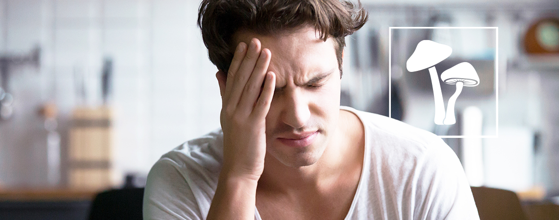 Wie Man Von Einem Pilztrip Runter Kommt