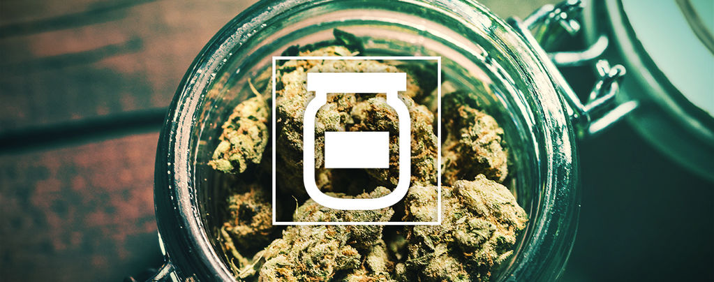 Schimmelbildung Bei Der Lagerung Von Cannabis Vermeiden