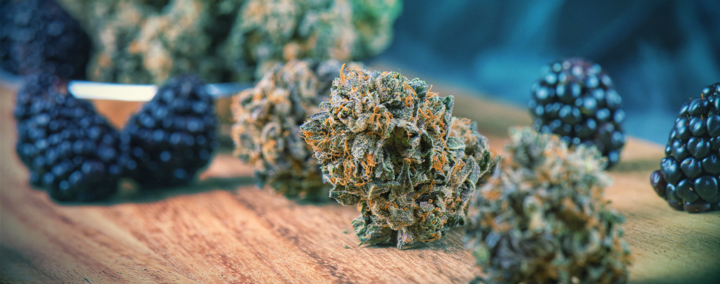 Man Gras Noch Leckerer Macht