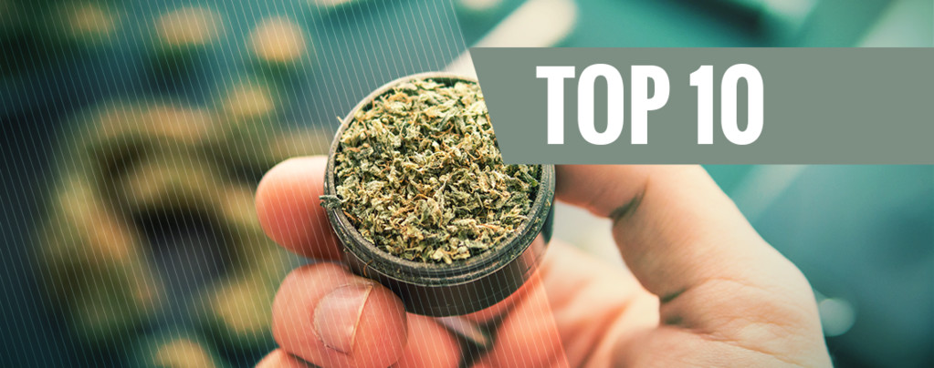 10 Luxuriöse Kiffergerätschaften Für Jede Gelegenheit Top 10 Headshop
