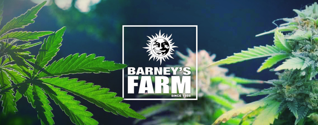 Barney's Farm Barney's Farm