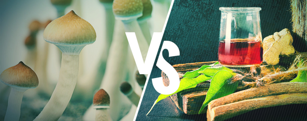 Ayahuasca vs. Zauberpilze