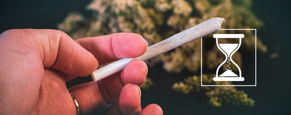 Hat Weed Ein Verfallsdatum