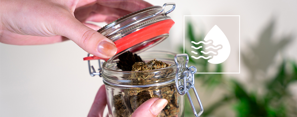 Wie (Und Warum) Man Gras Beim Aushärten Lüften Sollte