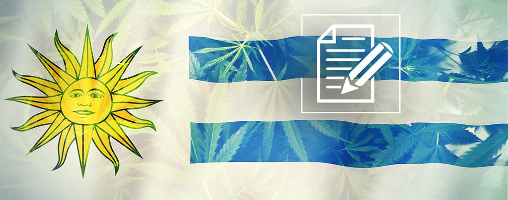 Uruguay: Das Cannabisparadies Versinkt Im Chaos