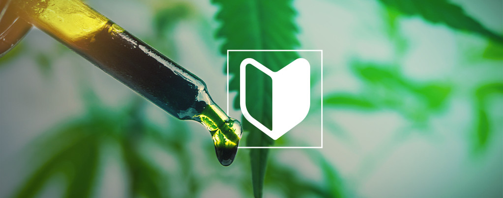 Perfekt Für Neulinge Eignen