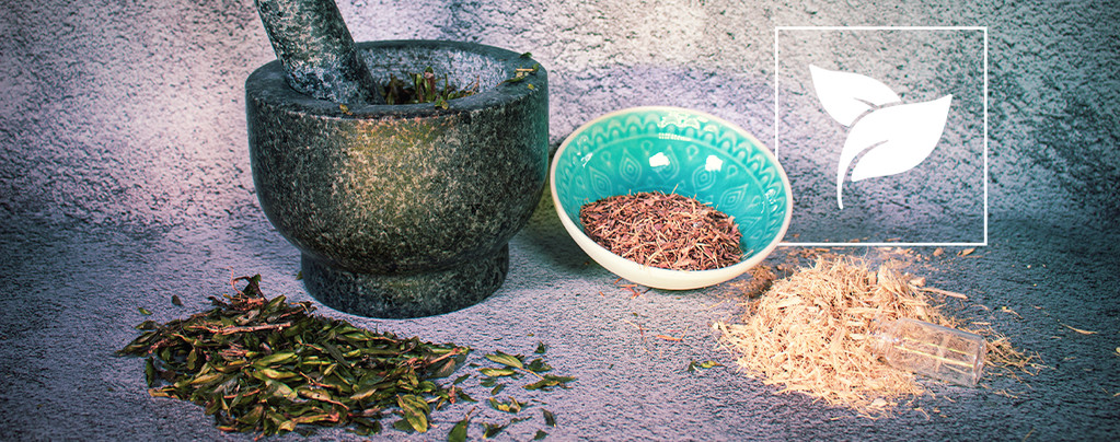 6 Exotische Kräuter, Von Denen Du Noch Nie Gehört Hast Kräuter & Samen