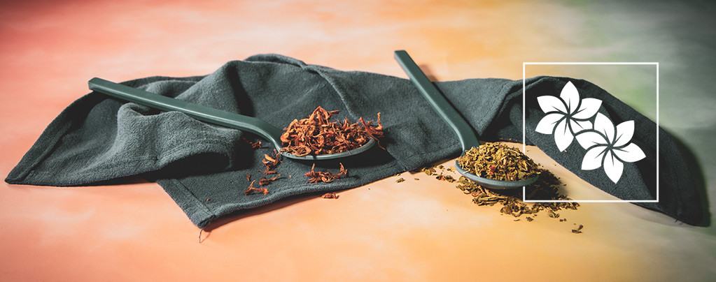 Afrikanisches und Kleinblättriges Löwenohr