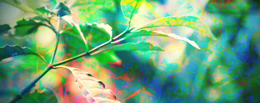 Wie Ist Es Wirklich, Auf Einem DMT-Trip Zu Sein?