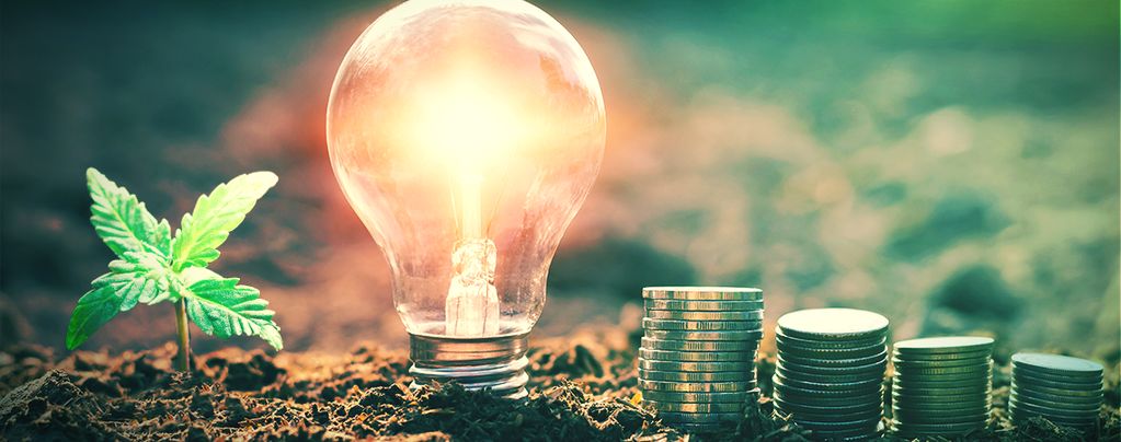 Wie Man Indoor Energiesparend Cannabis Anbaut