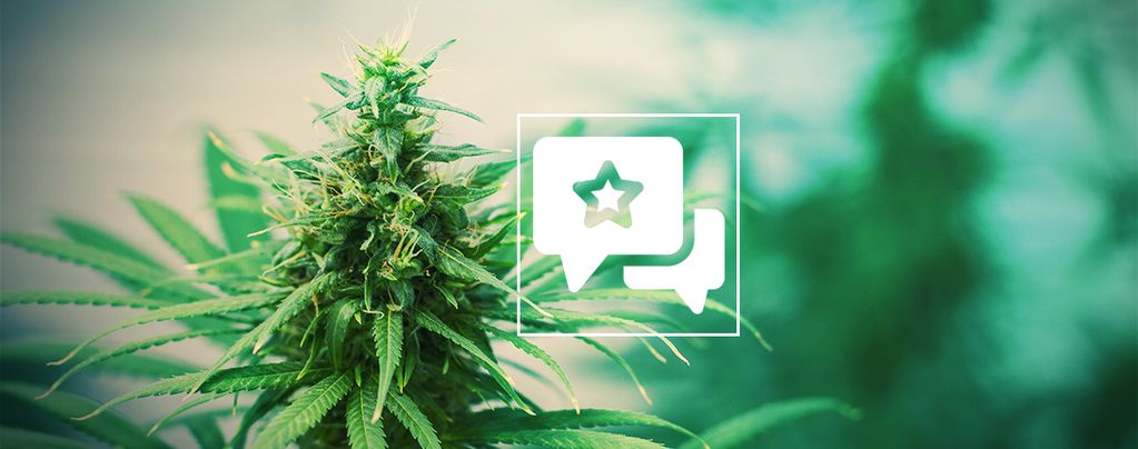 Tangerine Dream (Barney's Farm) feminisiert Tangerine Dream (Barney's Farm) feminisiert