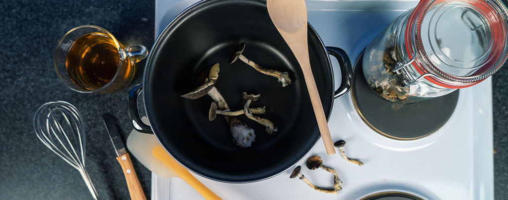 Das 10 Tage Zauberilz Fasten: Eine Reise In Die Seele