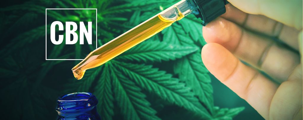 Was Ist CBN-Öl?