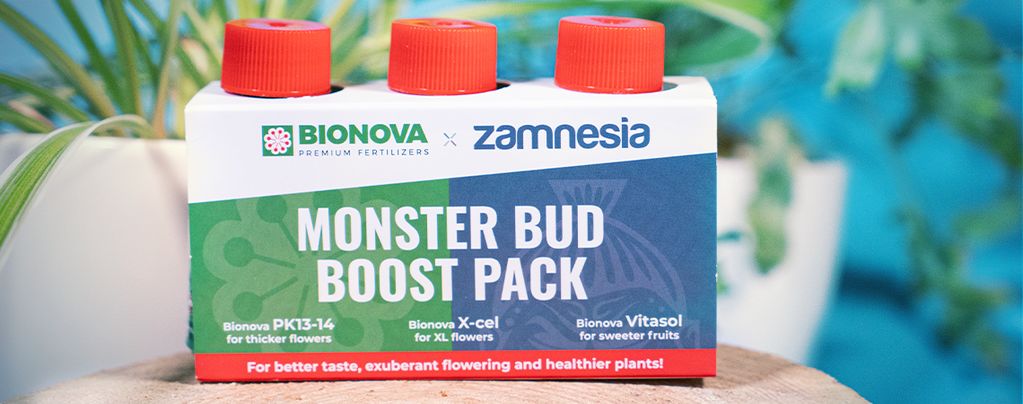 Verwende Das Monster Bud Boost Pack Für Fruchtigere Cannabis-Buds Verwende Das Monster Bud Boost Pack Für Fruchtigere Cannabis-Buds