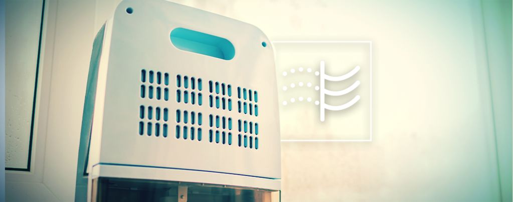 Was Sind Luftentfeuchter Und Wie Verwendet Man Sie, Um Cannabis Anzubauen?