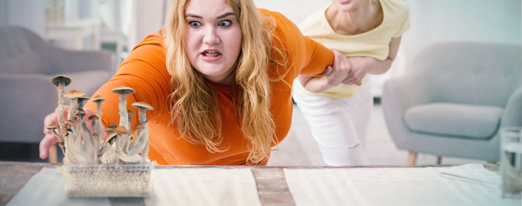 Sind Magic Mushrooms Suchterzeugend?