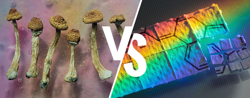 Zauberpilze Vs. LSD: Was Ist Der Unterschied?