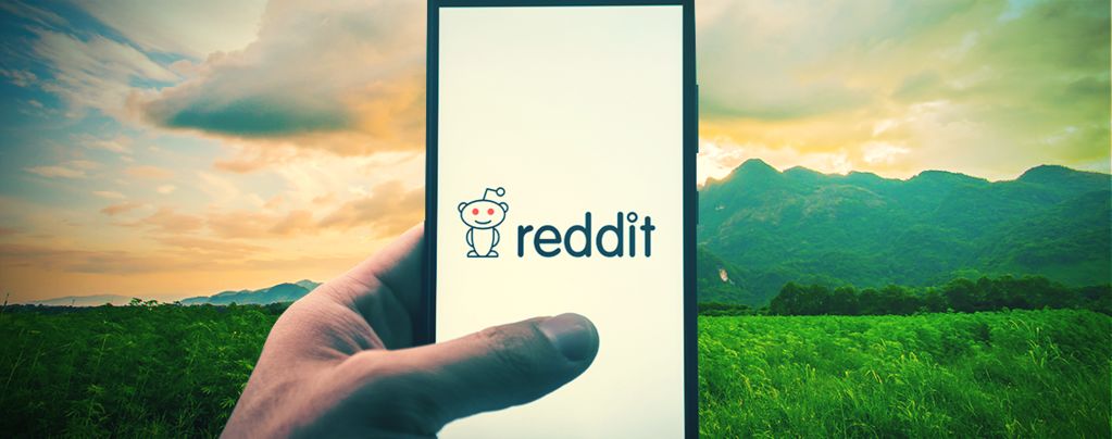 Die Top 10 Weed-Communities Auf Reddit