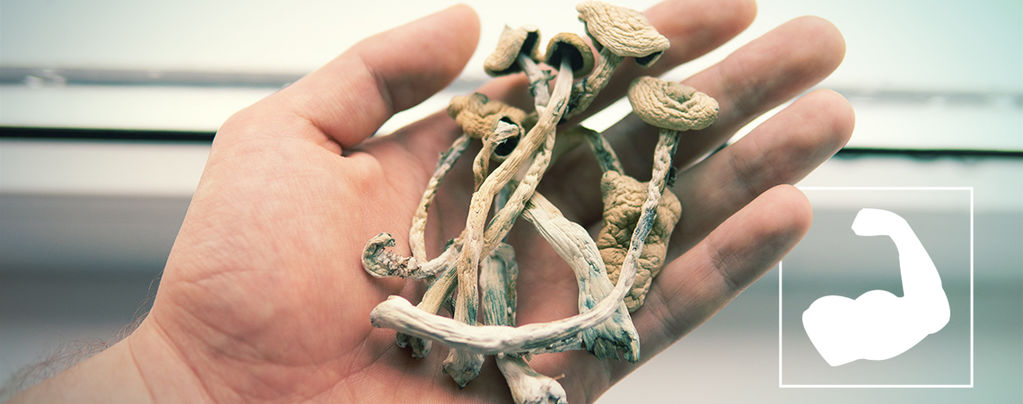 Was Sind Die Stärksten Magic Mushrooms?